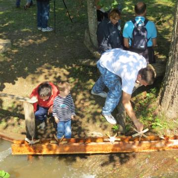 Mlinarjeva pot 14.09.2013 51